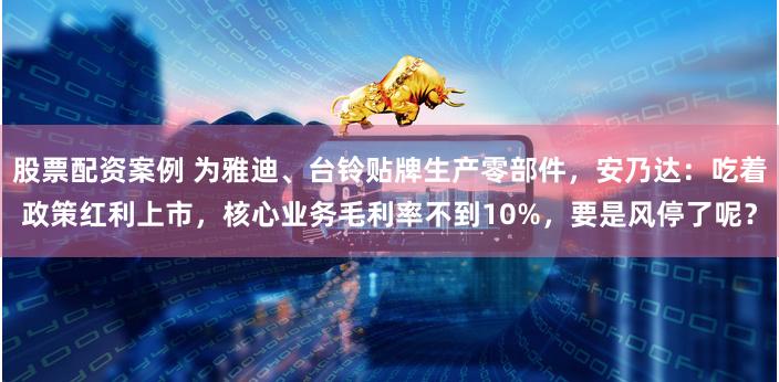 股票配资案例 为雅迪、台铃贴牌生产零部件，安乃达：吃着政策红利上市，核心业务毛利率不到10%，要是风停了呢？