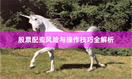 股票配资风险与操作技巧全解析