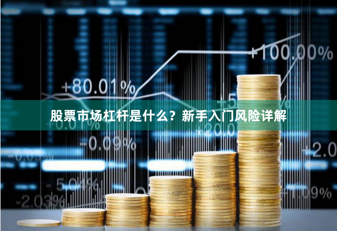 股票市场杠杆是什么？新手入门风险详解